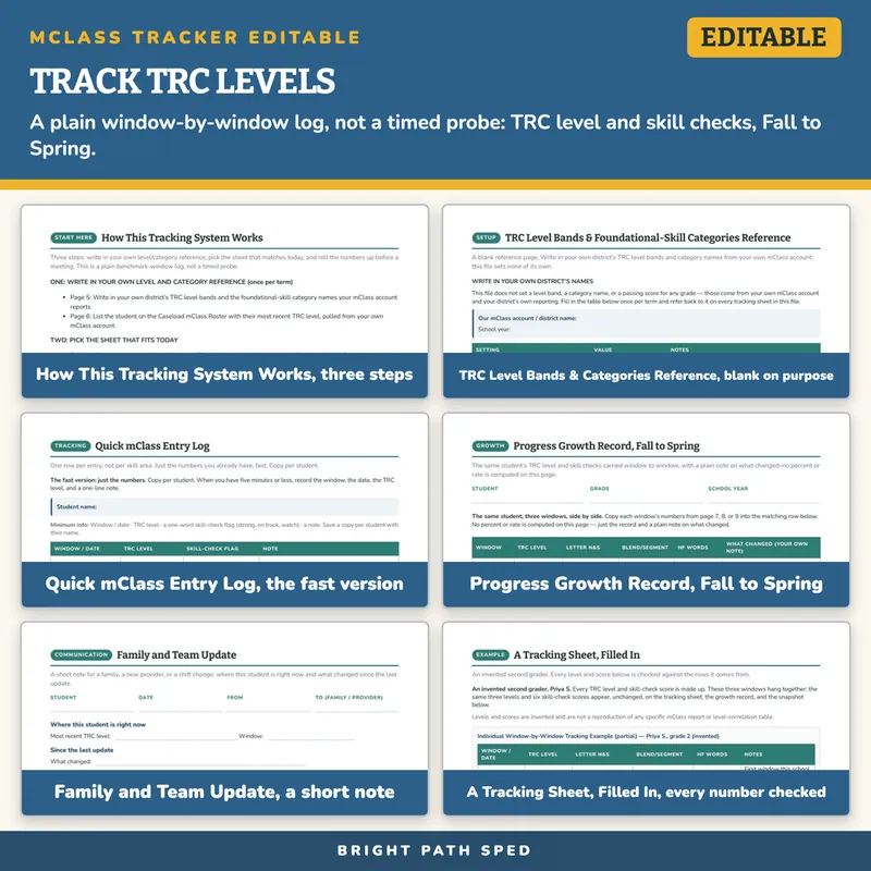 mClass Data Tracker Editable, for Use With mClass TRC Levels, image 3 of 4