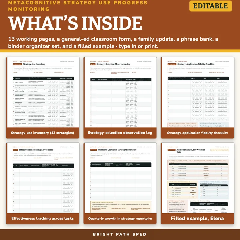 Metacognitive Strategy Use Progress Monitoring Data Sheets Editable, image 2 of 4