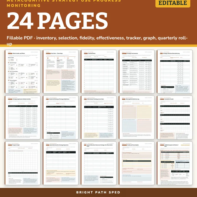 Metacognitive Strategy Use Progress Monitoring Data Sheets Editable, image 4 of 4
