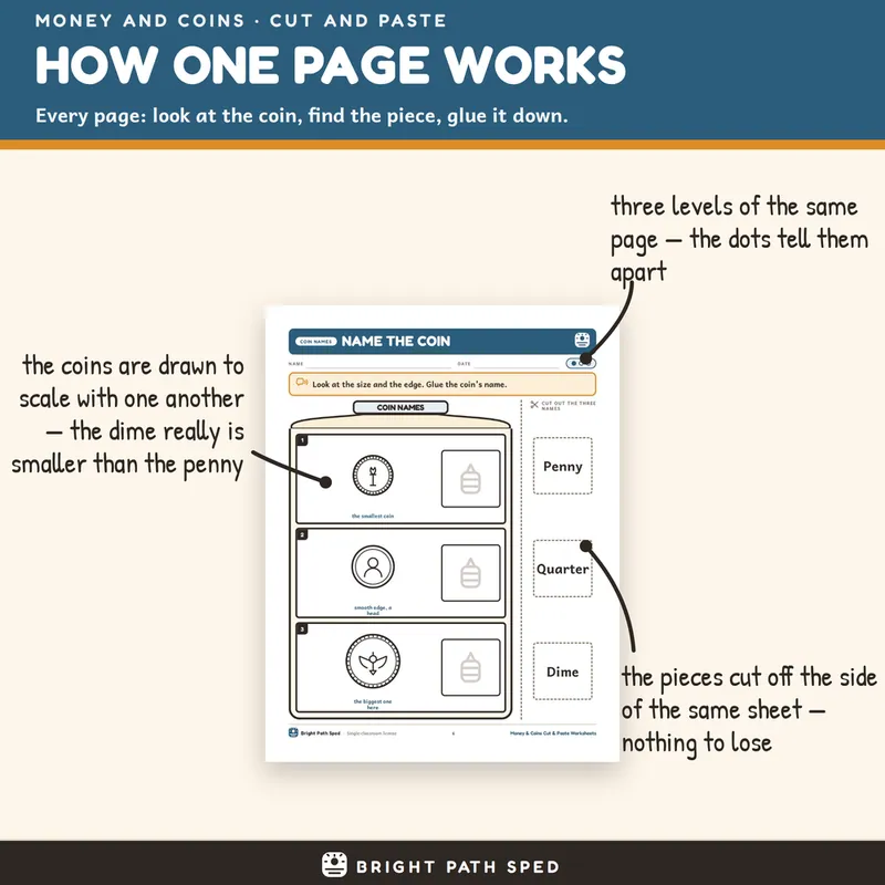 Money Coins Cut and Paste Worksheets 3 Levels Differentiated Special Education, image 2 of 4
