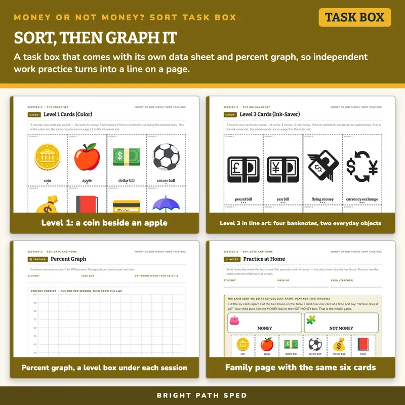 Money or Not Money? Sort Task Box, image 3 of 4