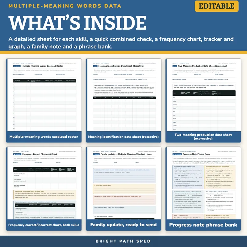 Multiple-Meaning Words Progress Monitoring Data Sheets Editable, image 2 of 4