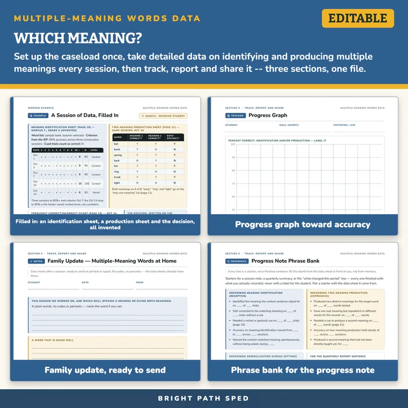 Multiple-Meaning Words Progress Monitoring Data Sheets Editable, image 3 of 4