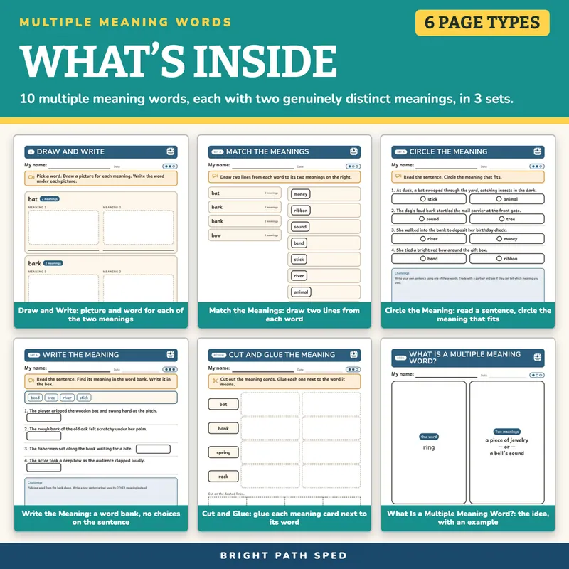 Multiple Meaning Words Worksheets, image 2 of 4