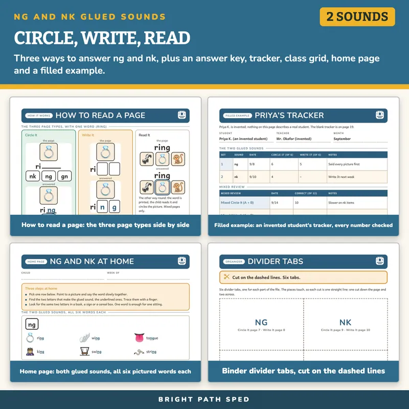 NG and NK Glued Sounds Worksheets, image 3 of 4