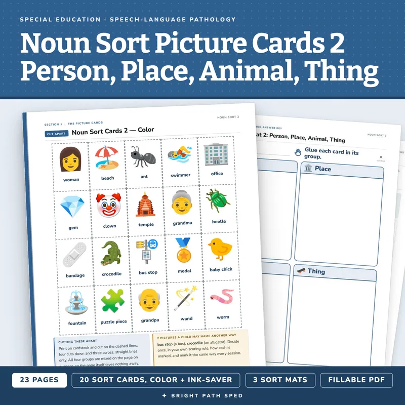Noun Sort Picture Cards 2: Person, Place, Animal or Thing, image 1 of 4