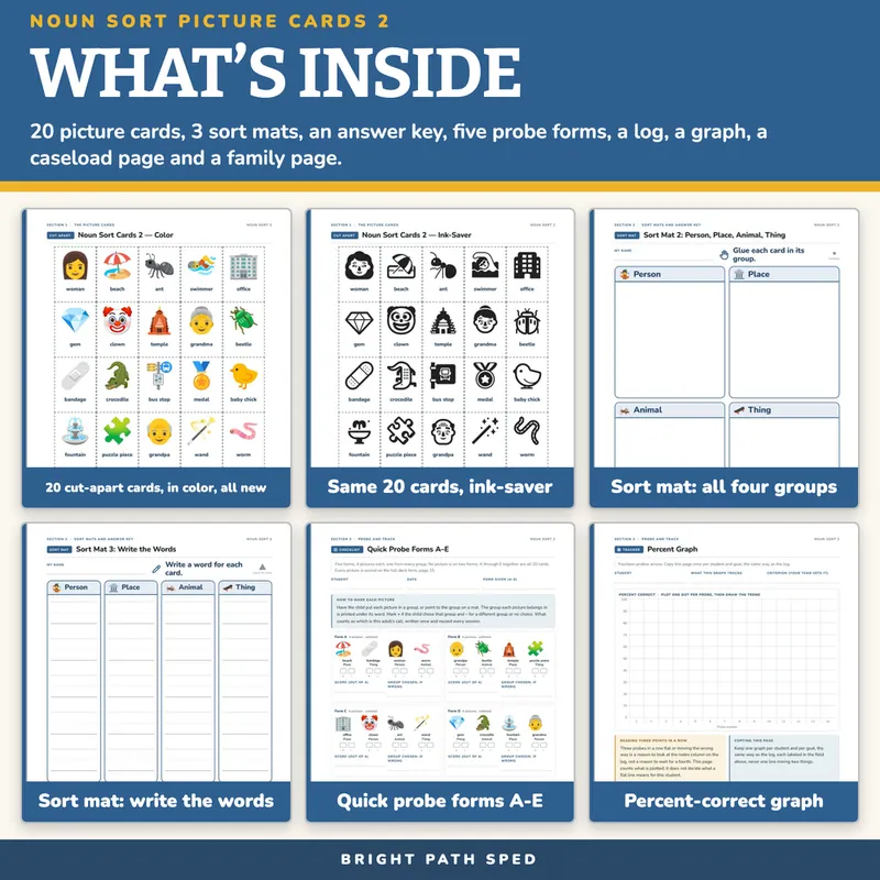 Noun Sort Picture Cards 2: Person, Place, Animal or Thing, image 2 of 4