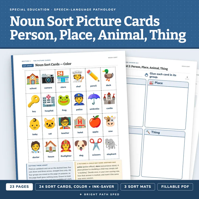 Noun Sort Picture Cards: Person, Place, Animal or Thing, image 1 of 4