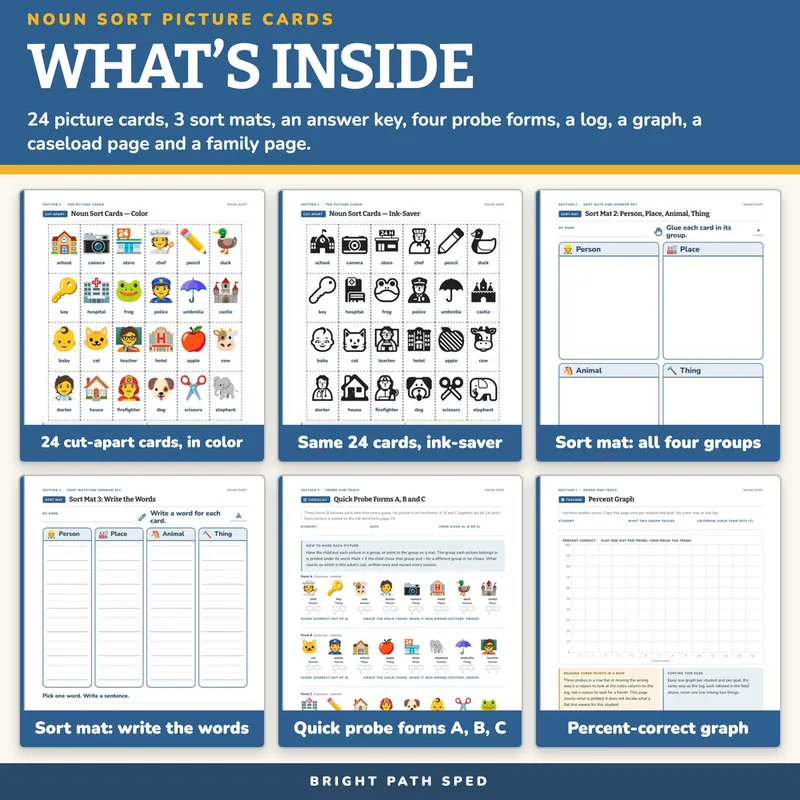 Noun Sort Picture Cards: Person, Place, Animal or Thing, image 2 of 4