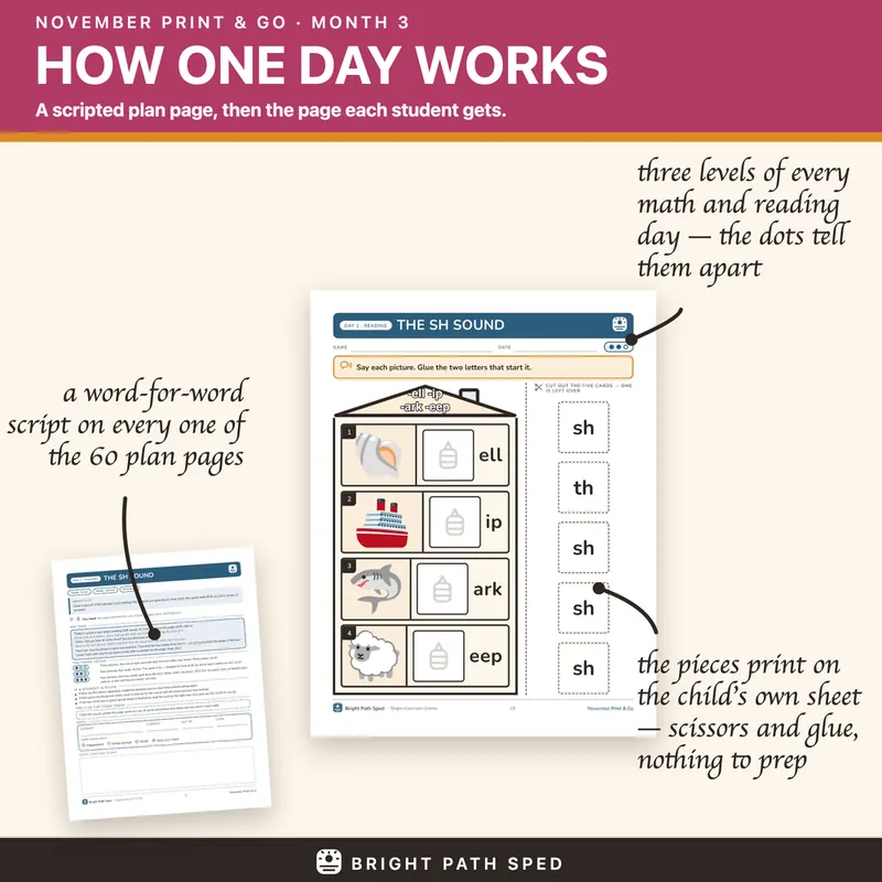 November Print and Go Month 3 SPED Lesson Plans Math Reading Social Skills, image 2 of 4