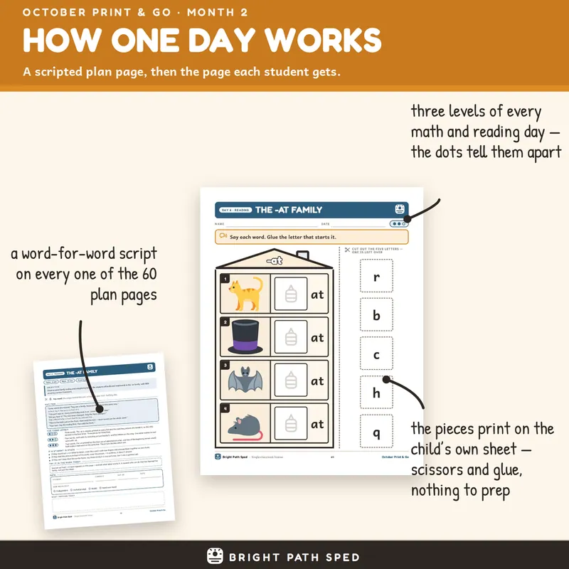 October Print and Go Month 2 SPED Lesson Plans Math Reading Social Skills, image 2 of 4