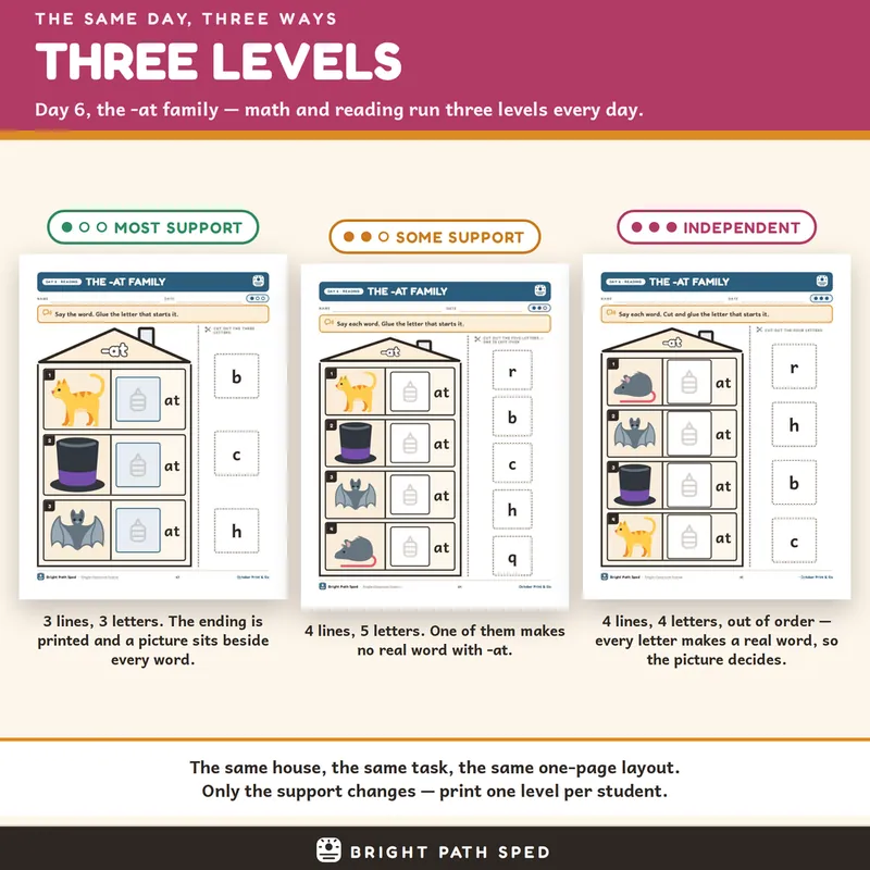 October Print and Go Month 2 SPED Lesson Plans Math Reading Social Skills, image 3 of 4