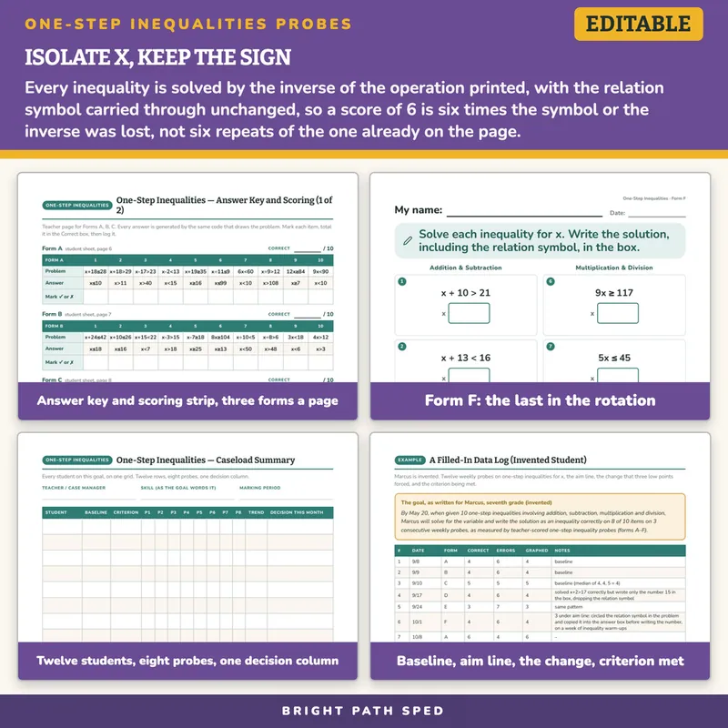 One-Step Inequalities Progress Monitoring Probes, image 3 of 4