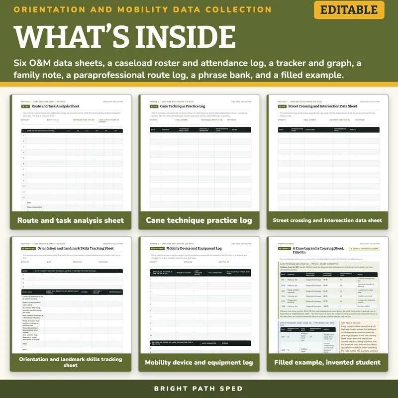 Orientation and Mobility (O&M) Data Collection Sheets, image 2 of 4