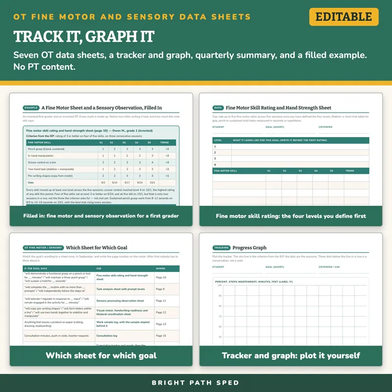 OT Fine Motor and Sensory Progress Monitoring Data Sheets, image 3 of 4