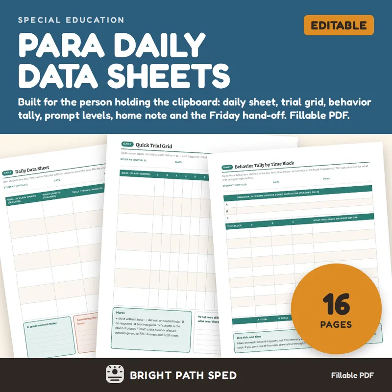 Paraprofessional Data Collection Sheets Daily Behavior Tally, image 1 of 4