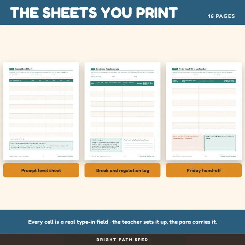 Paraprofessional Data Collection Sheets Daily Behavior Tally, image 3 of 4