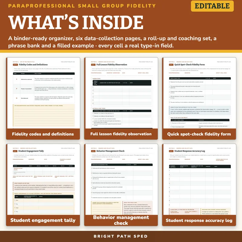 Paraprofessional Small Group Fidelity Log Editable, image 2 of 4