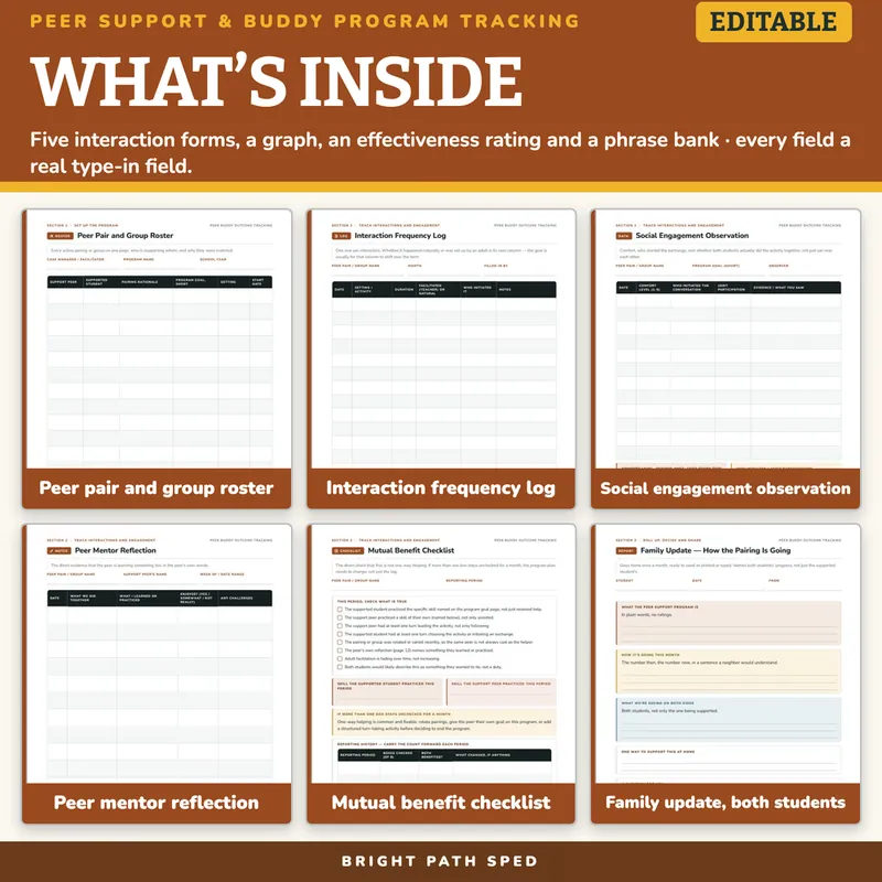 Peer Support and Buddy Program Outcome Tracking Editable, image 2 of 4