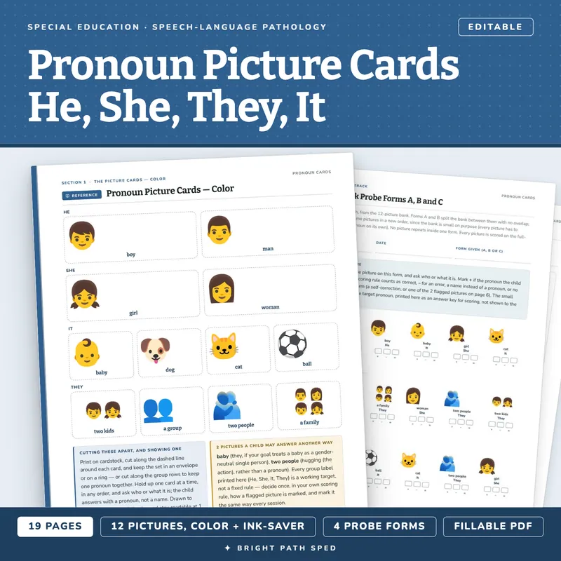 Personal Pronoun Picture Cards (He, She, They, It), image 1 of 4