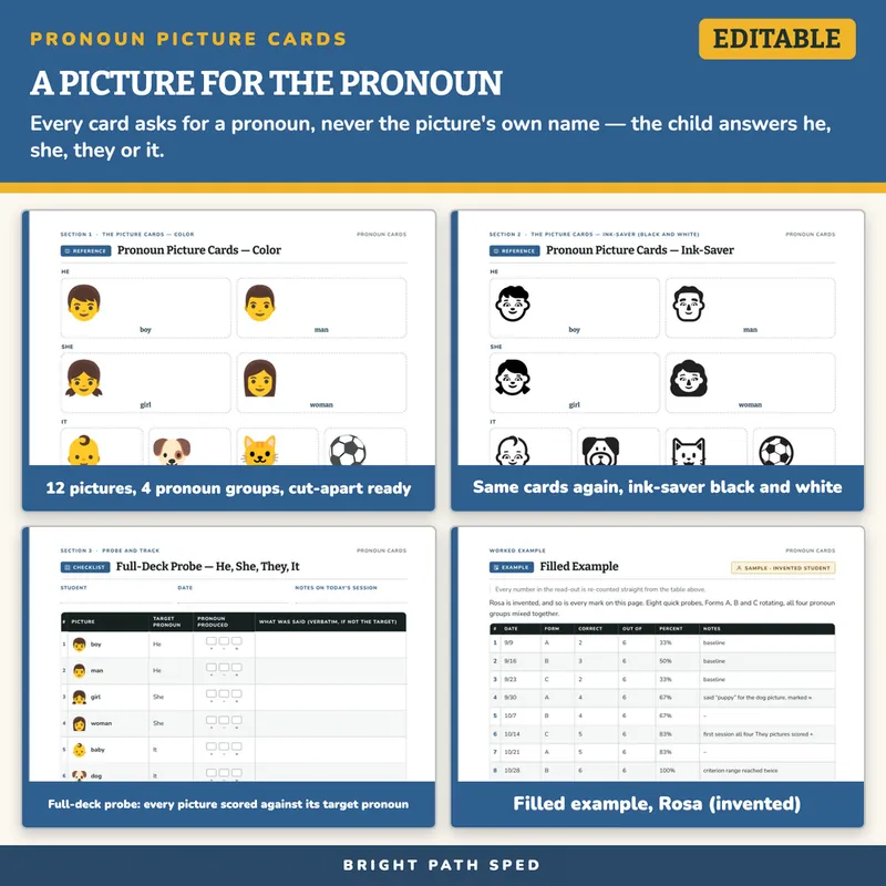 Personal Pronoun Picture Cards (He, She, They, It), image 3 of 4
