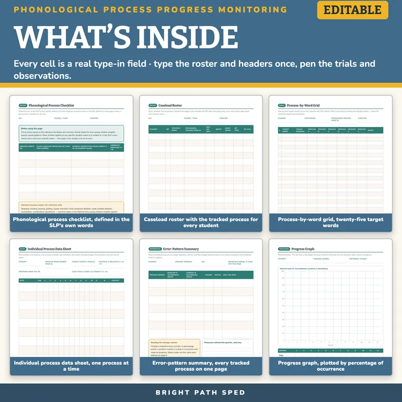 Phonological Process Progress Monitoring Editable, image 2 of 4