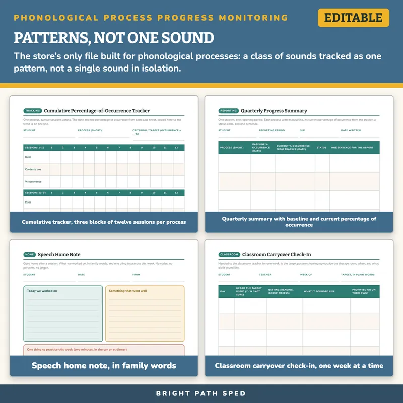 Phonological Process Progress Monitoring Editable, image 3 of 4
