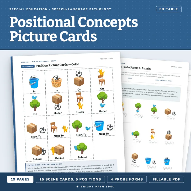 Positional Concepts Picture Cards (In, On, Under), image 1 of 4