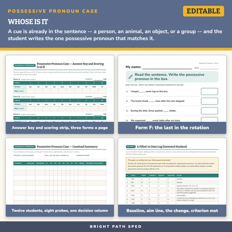 Possessive Pronoun Case Progress Monitoring Probes, image 3 of 4
