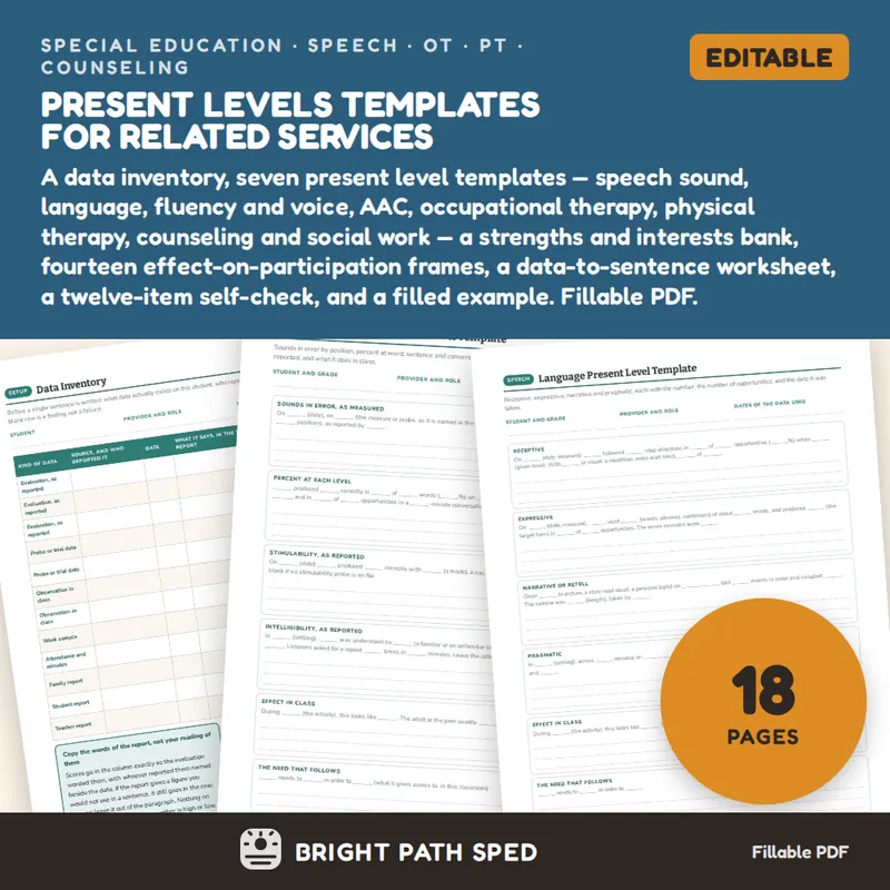 Present Levels Template Editable, image 1 of 4