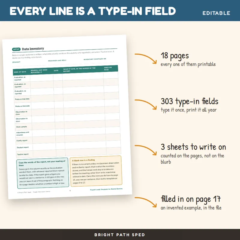 Present Levels Template Editable, image 2 of 4