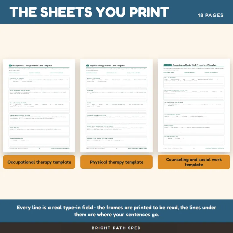 Present Levels Template Editable, image 3 of 4
