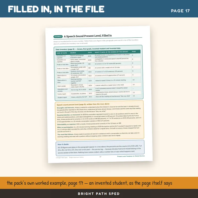 Present Levels Template Editable, image 4 of 4