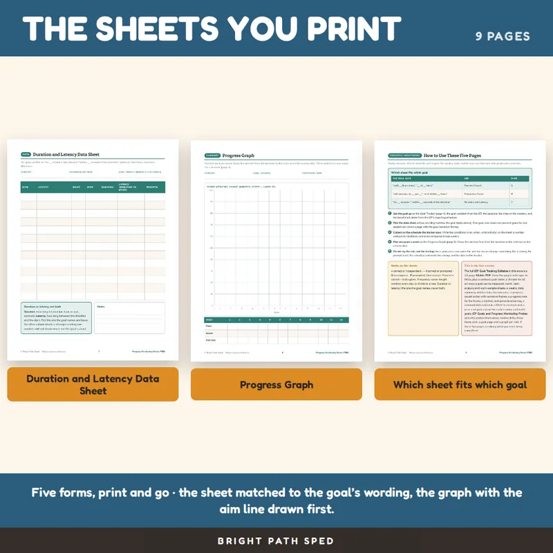Progress Monitoring Tracking Sheet FREE, image 3 of 4