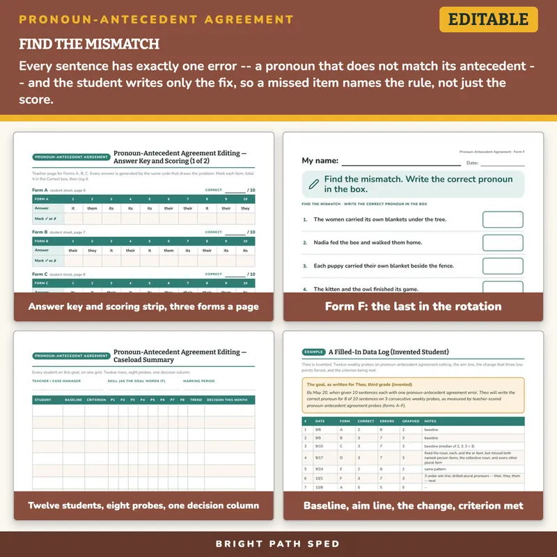 Pronoun-Antecedent Agreement Editing Progress Monitoring Probes, image 3 of 4