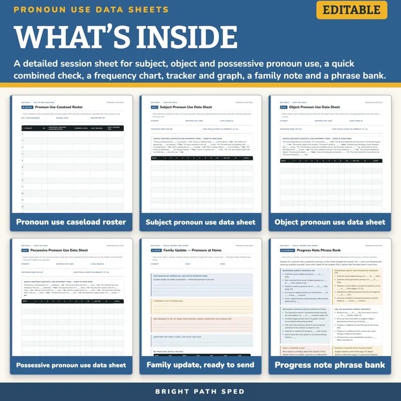 Pronoun Use Progress Monitoring Data Sheets Editable, image 2 of 4