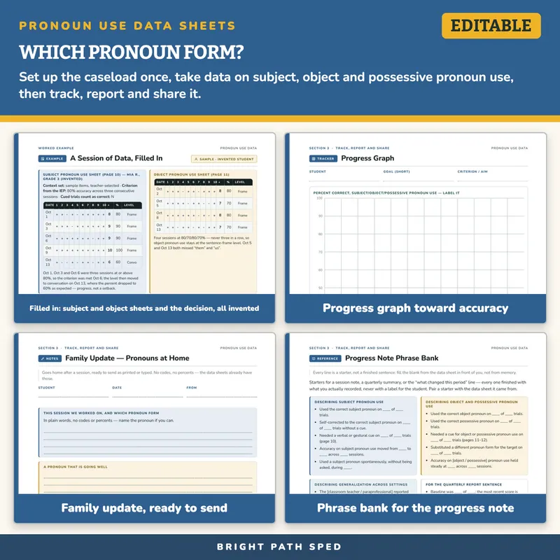 Pronoun Use Progress Monitoring Data Sheets Editable, image 3 of 4