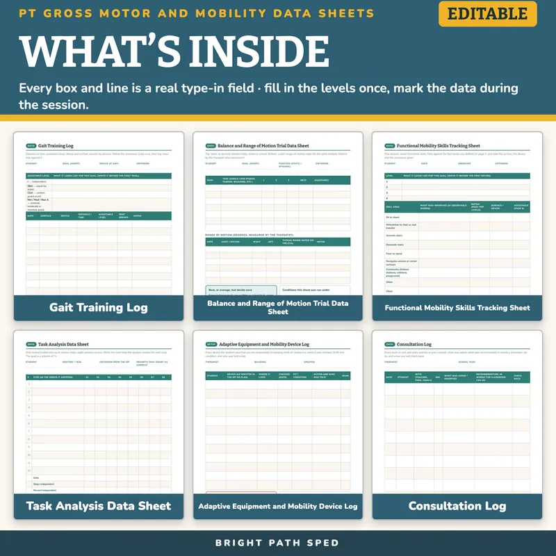 PT Gross Motor and Mobility Progress Monitoring Data Sheets, image 2 of 4