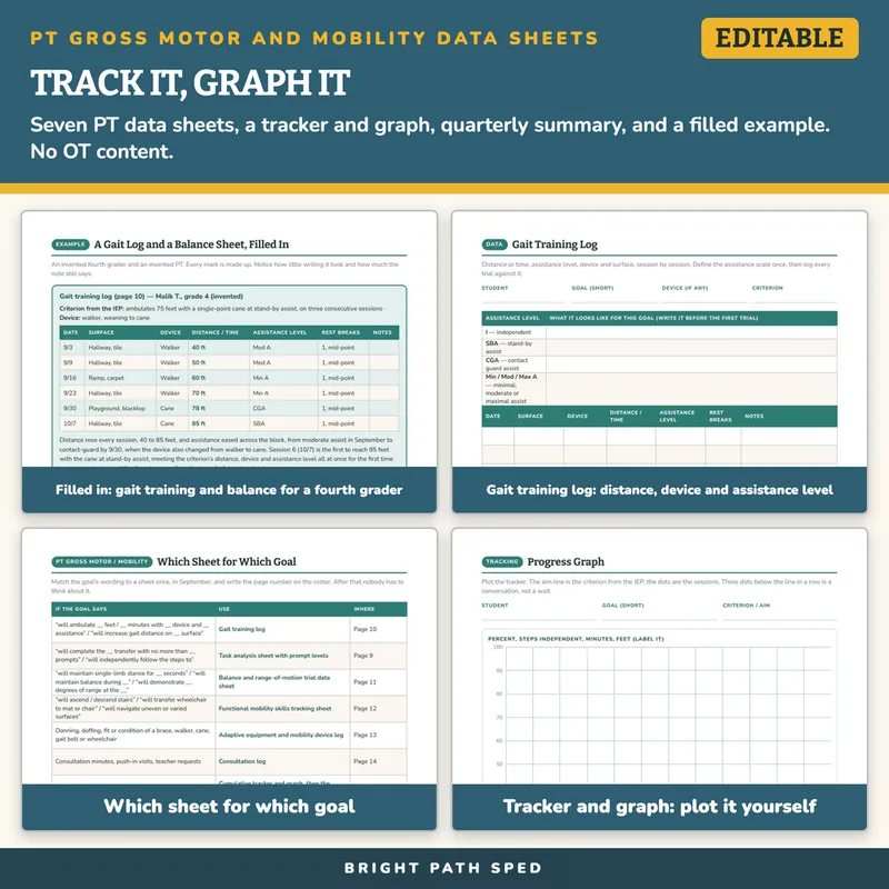 PT Gross Motor and Mobility Progress Monitoring Data Sheets, image 3 of 4