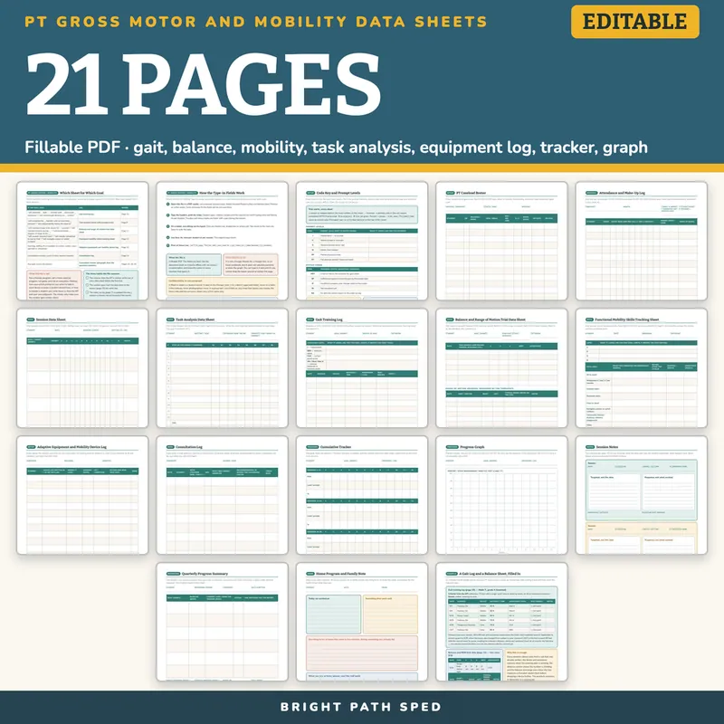 PT Gross Motor and Mobility Progress Monitoring Data Sheets, image 4 of 4
