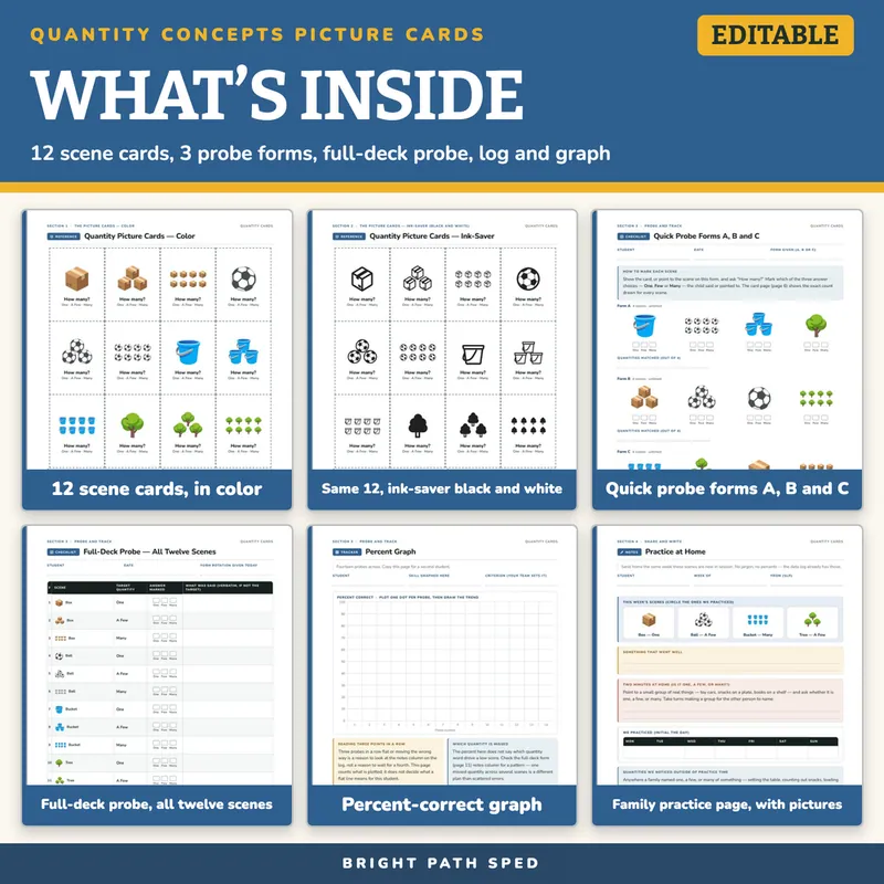 Quantity Concepts Picture Cards: One, A Few, Many Data Collection, image 2 of 4