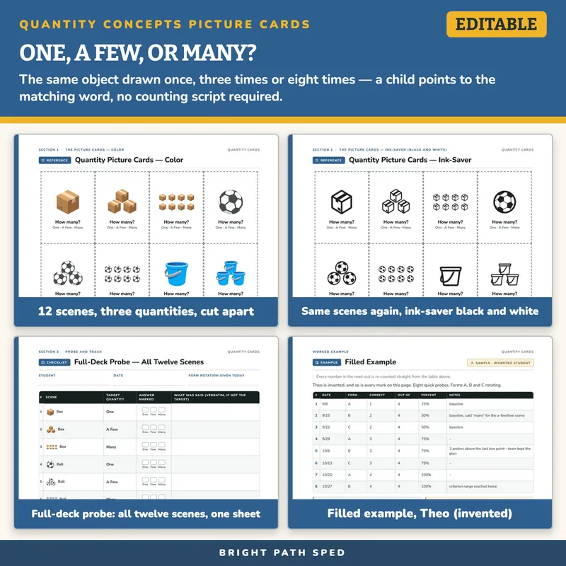 Quantity Concepts Picture Cards: One, A Few, Many Data Collection, image 3 of 4