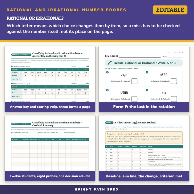 Rational and Irrational Numbers Probes, image 3 of 4