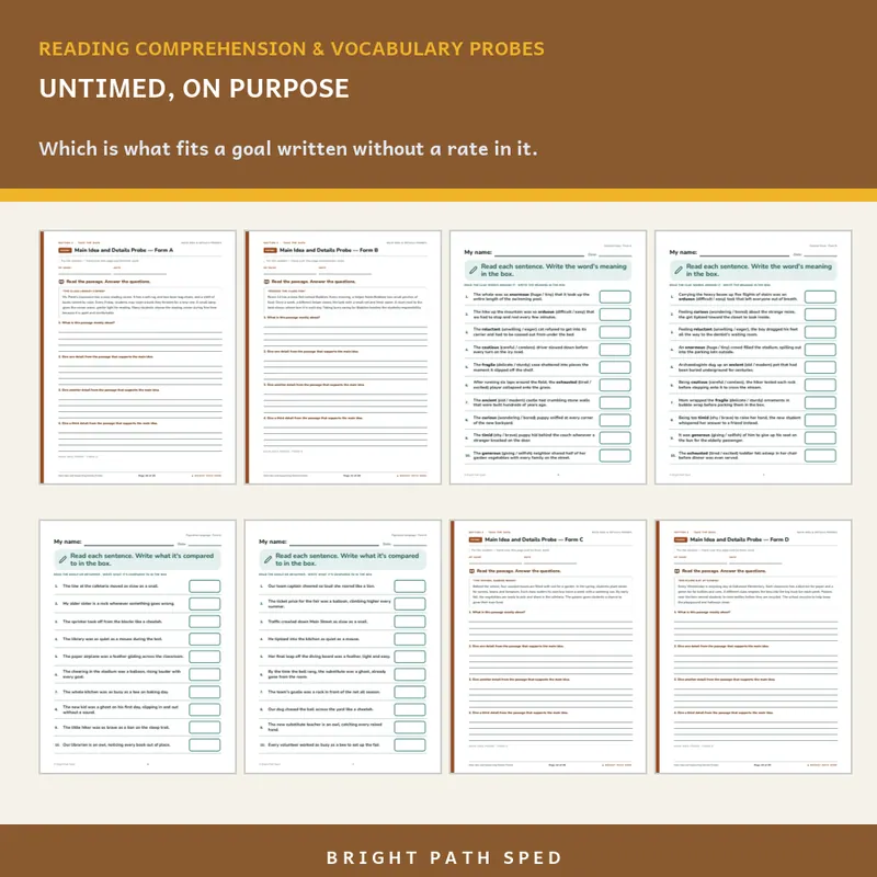 Reading Comprehension and Vocabulary Progress Monitoring Probes Bundle, image 3 of 3