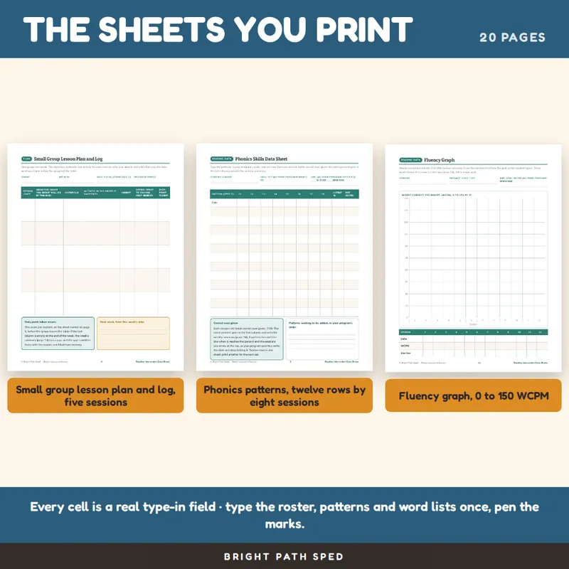 Reading Intervention Data Sheets Editable, image 3 of 4