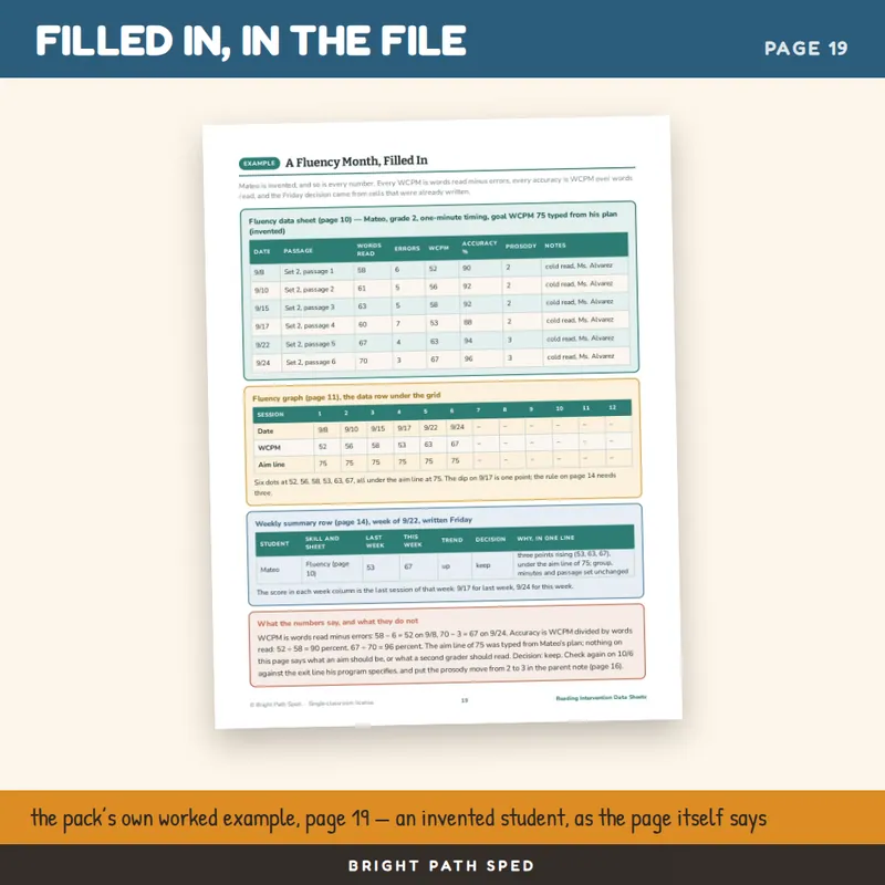 Reading Intervention Data Sheets Editable, image 4 of 4