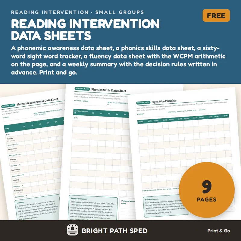 Reading Intervention Data Sheets FREE, image 1 of 4