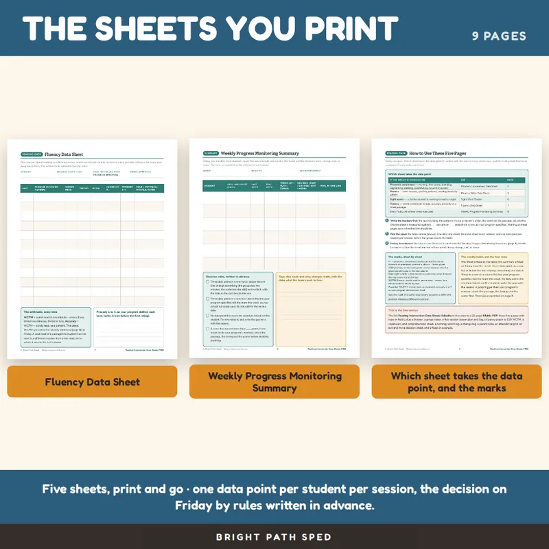 Reading Intervention Data Sheets FREE, image 3 of 4