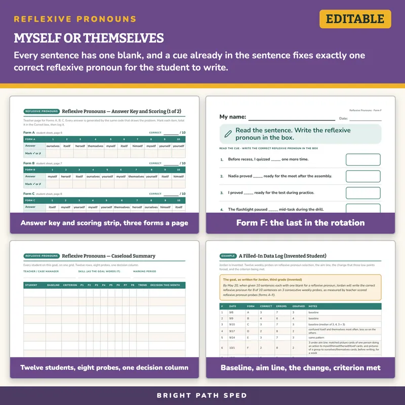 Reflexive Pronouns Progress Monitoring Probes, image 3 of 4