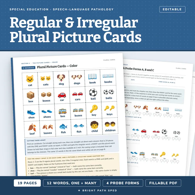 Regular and Irregular Plural Naming Picture Cards, image 1 of 4